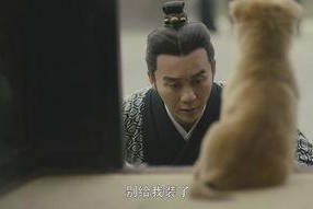 国产男人的天堂,男人的天堂，情感与激情的完美融合