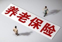 国产a级一级久久毛片,揭秘一级久久毛片背后的故事