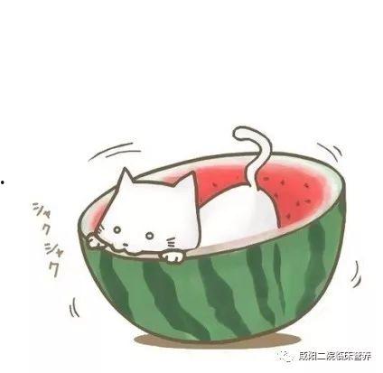 吃瓜娱乐酱头像图片,娱乐酱头像下的欢乐时光